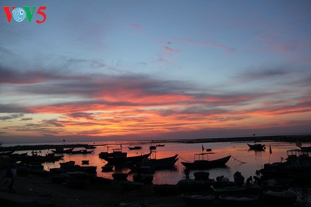 Sắc màu Lý Sơn - ảnh 16